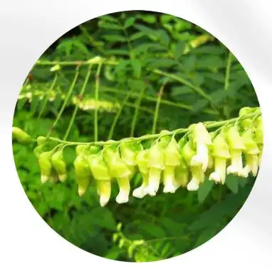 blog-1-1