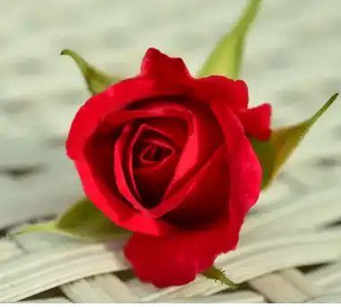 blog-1-1