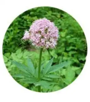 blog-1-1