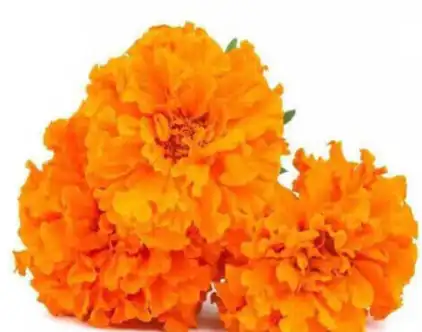 blog-1-1