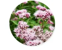 blog-1-1