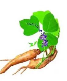 blog-1-1