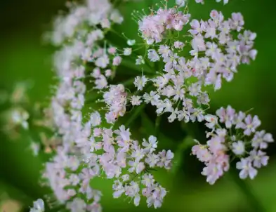 blog-1-1