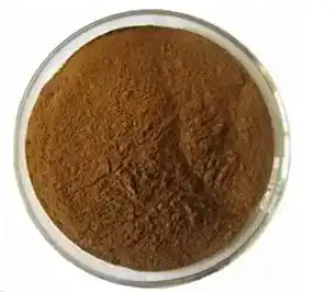 блог-1-1 блог-1-1