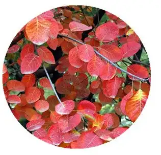 blog-1-1