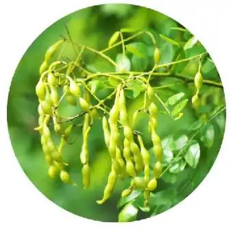 blog-1-1