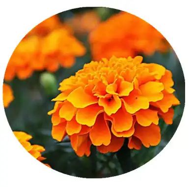 blog-1-1