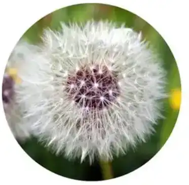blog-1-1