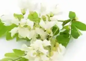 blog-1-1