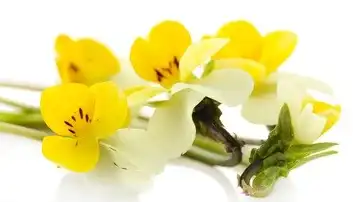 blog-1-1
