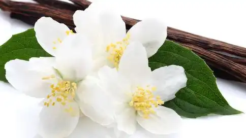 blog-1-1