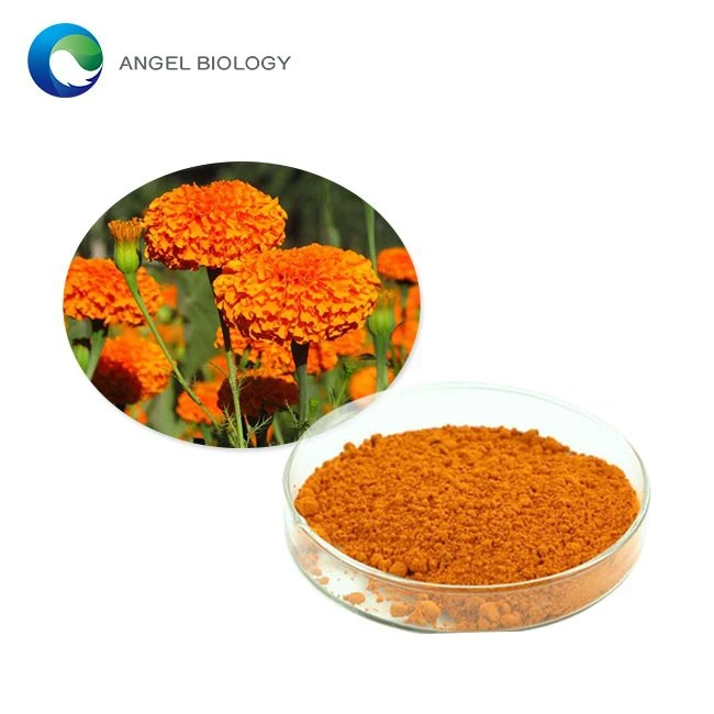 blog-753-502 blog-753-502