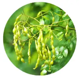 blog-1-1