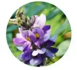 blog-1-1