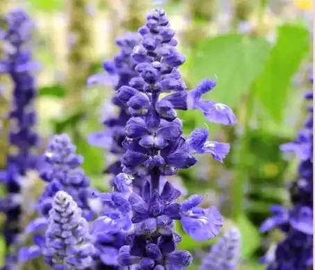 blog-1-1