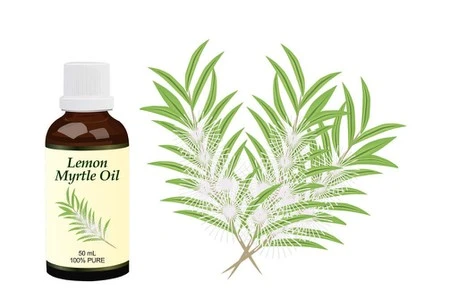 product-1-1 product-1-1