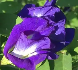 blog-1-1
