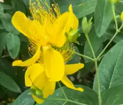 blog-1-1