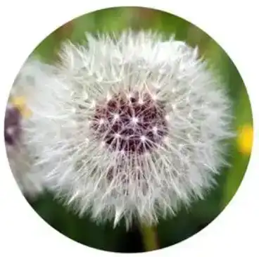 blog-1-1