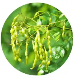 blog-1-1