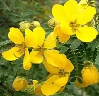 blog-1-1