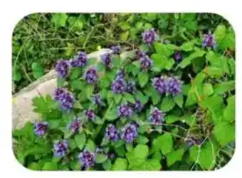 blog-1-1
