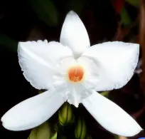 blog-1-1