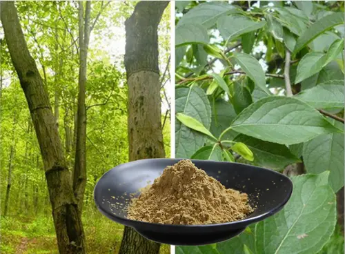 product-1-1 product-1-1