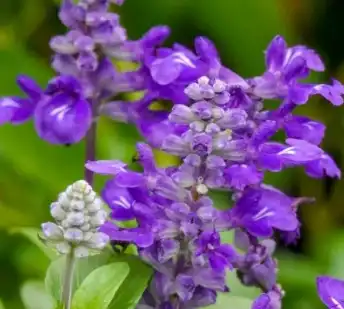 блог-1-1 блог-1-1