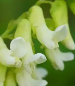 blog-1-1