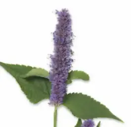 blog-1-1