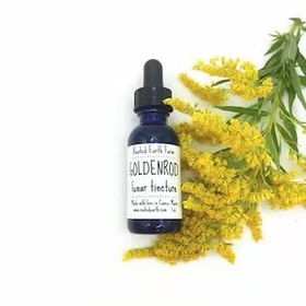 product-1-1 product-1-1