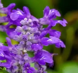 blog-1-1