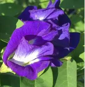 blog-1-1
