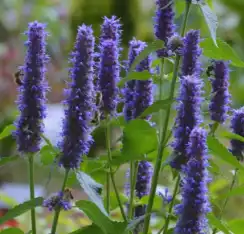 blog-1-1