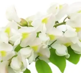 blog-1-1
