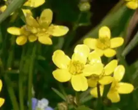 blog-1-1