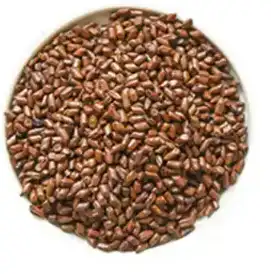 блог-1-1 блог-1-1