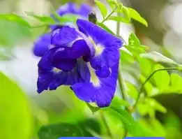 blog-1-1