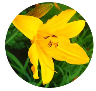 blog-1-1