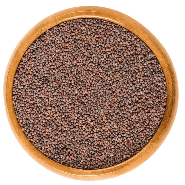 broccoli seed