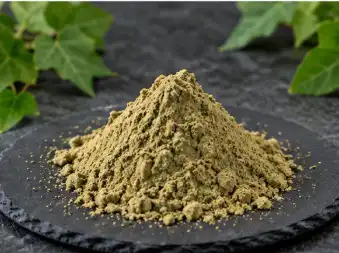 Ivy leaf extract