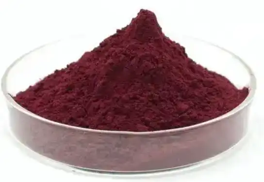 black elderberry extract powder
