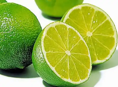 Citrus aurantiifolia