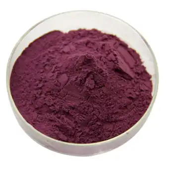 black elderberry extract powder black elderberry extract powder