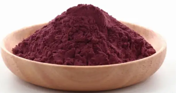 black elderberry extract powder