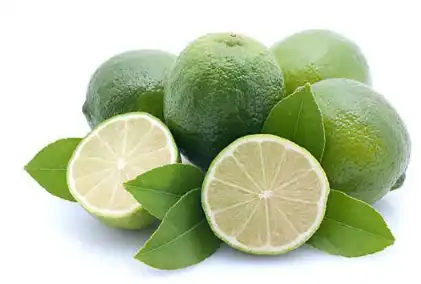 source of raw materials 