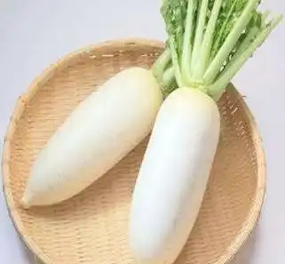 white radish white radish