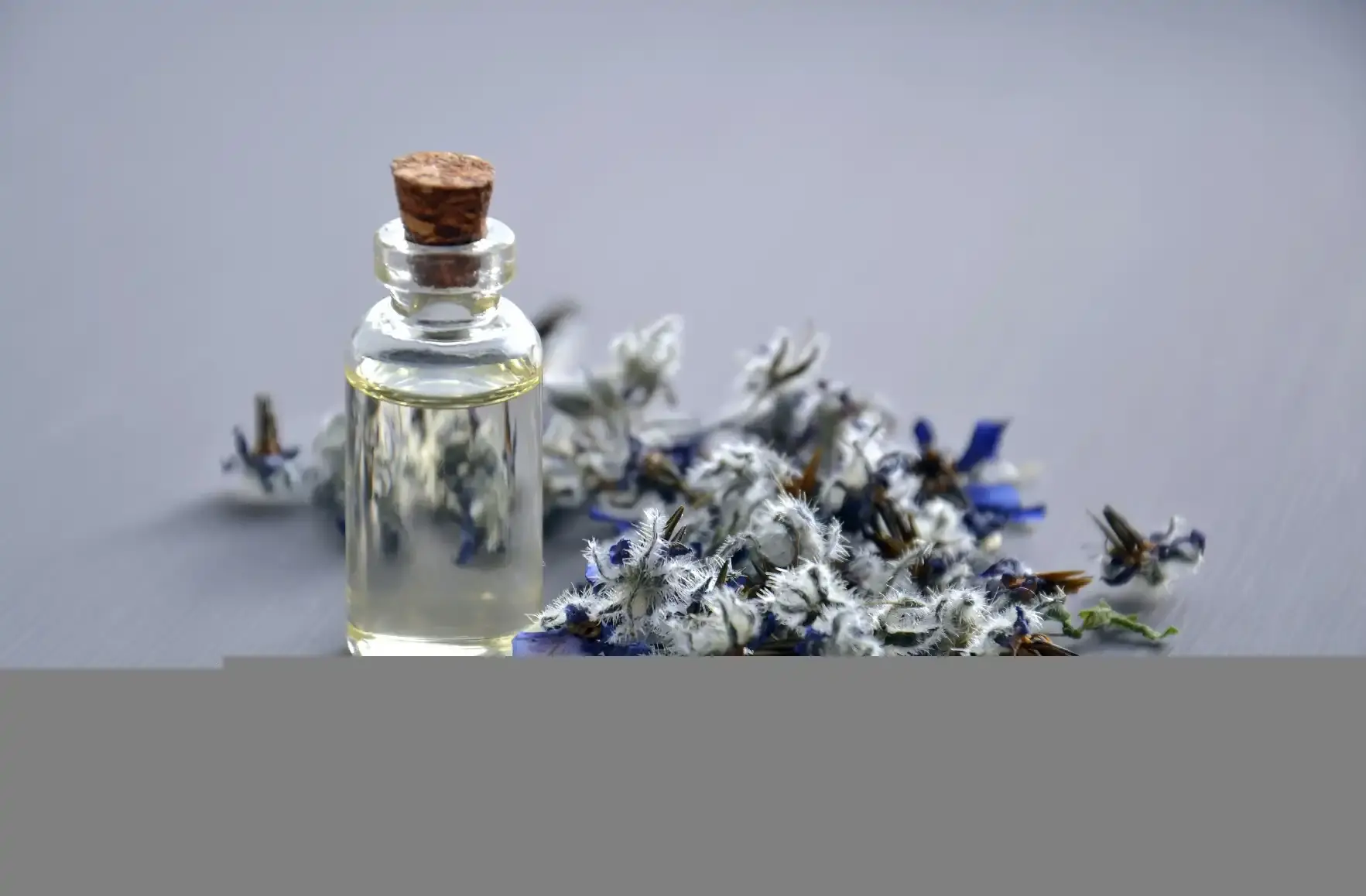 application application