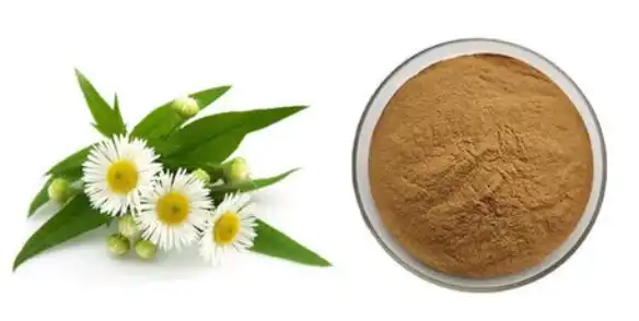 anthemis nobilis flower extract